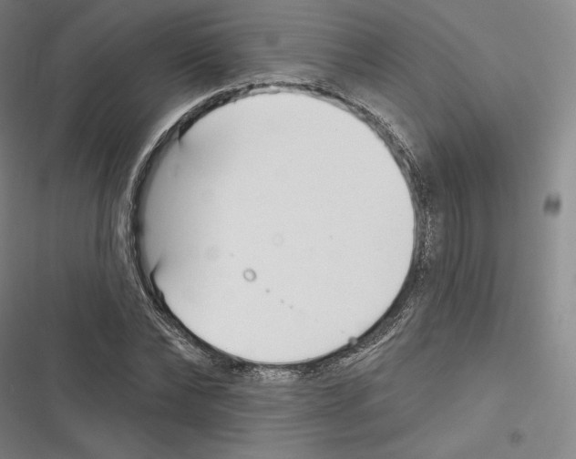 X0000116650878201001111227