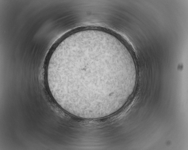 X0000116650879201001111227