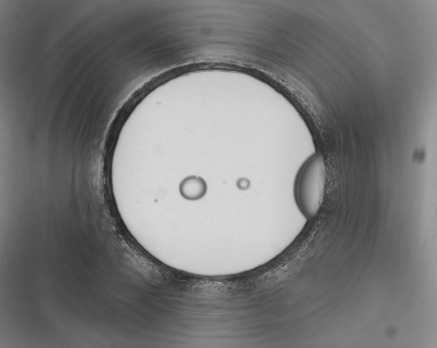 X0000116650880201001111227