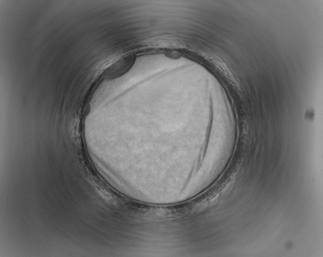 X0000116650881201001111227