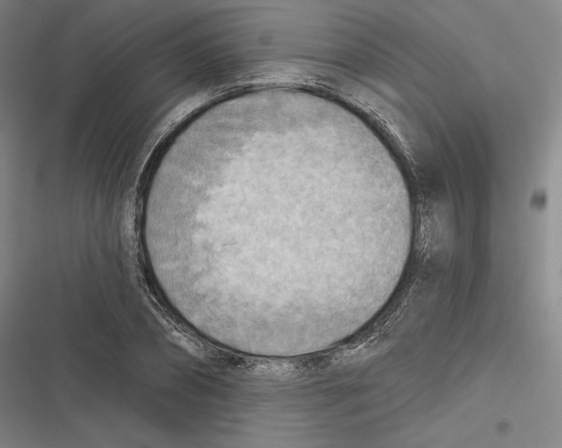 X0000116650882201001111227