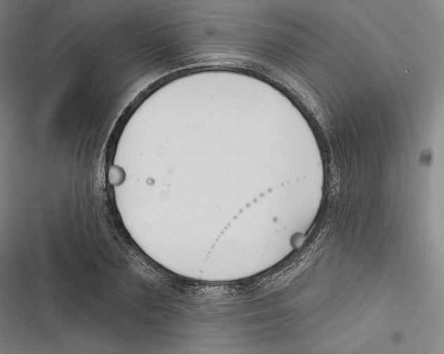 X0000116650883201001111227