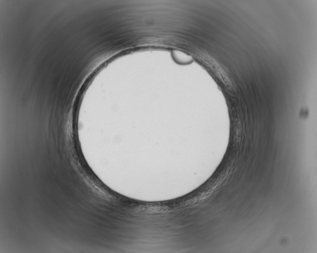 X0000116650884201001111227