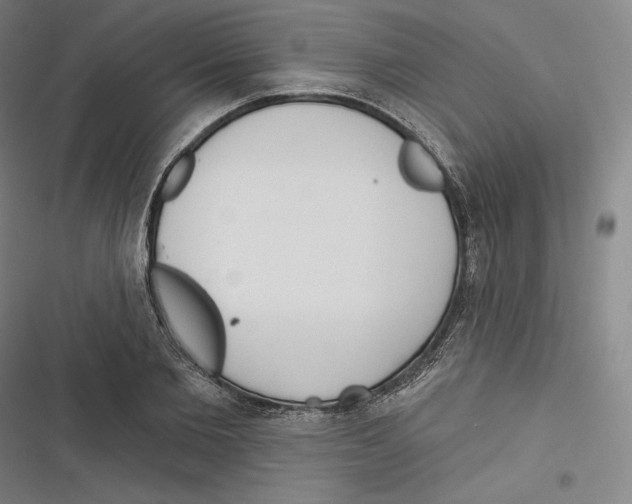 X0000116650885201001111227