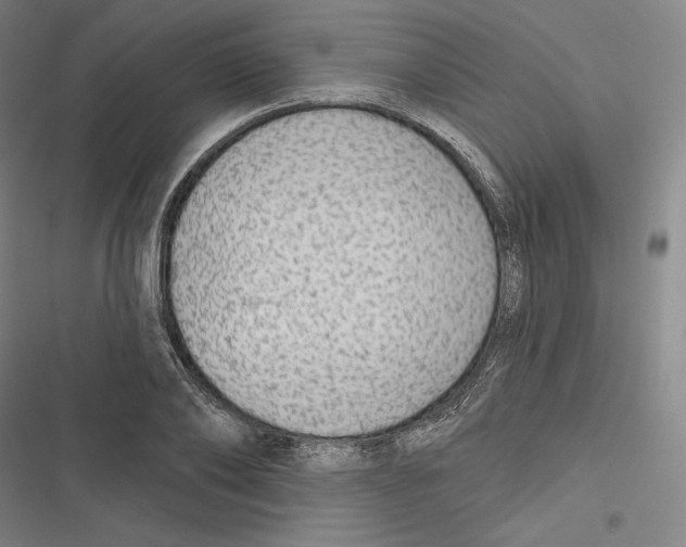 X0000116650886201001111227