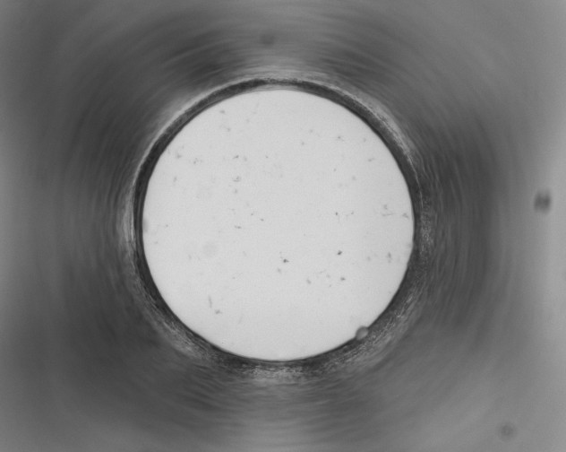 X0000116650887201001111227