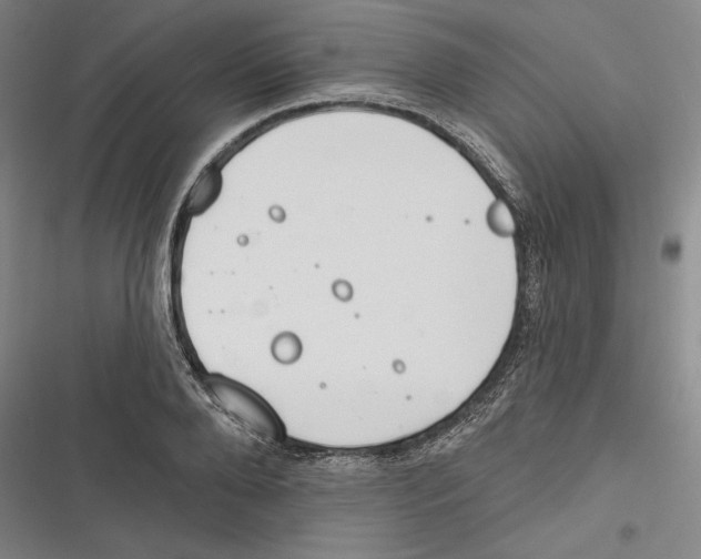 X0000116650888201001111227