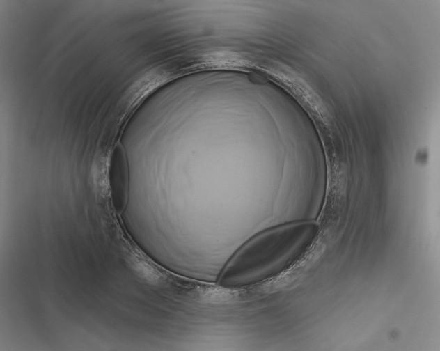 X0000116650889201001111227