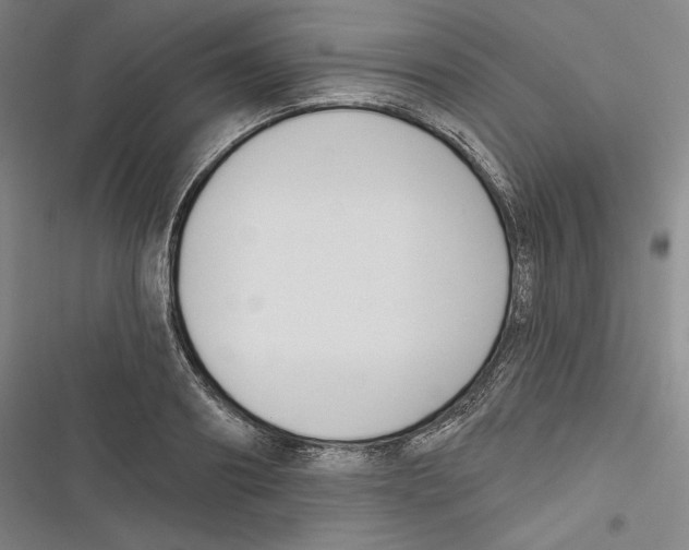 X0000116650890201001111227