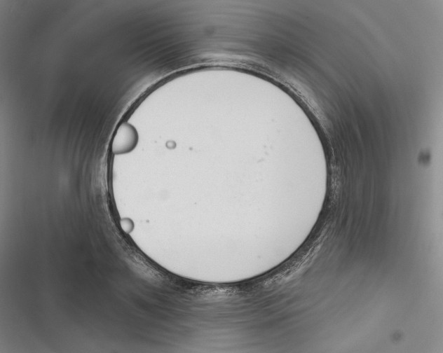 X0000116650891201001111227