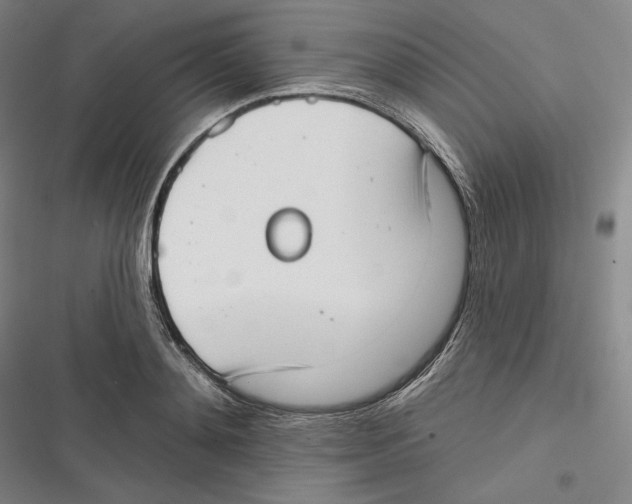 X0000116650892201001111226