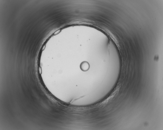 X0000116650893201001111226