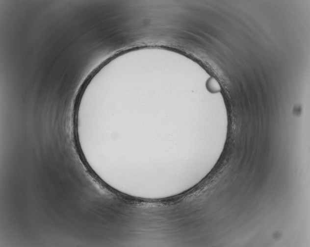 X0000116650894201001111226