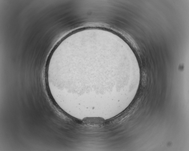 X0000116650895201001111226