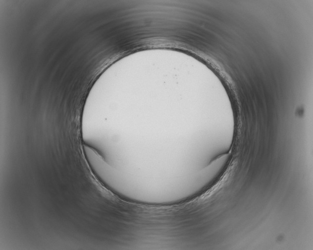 X0000116650897201001111226