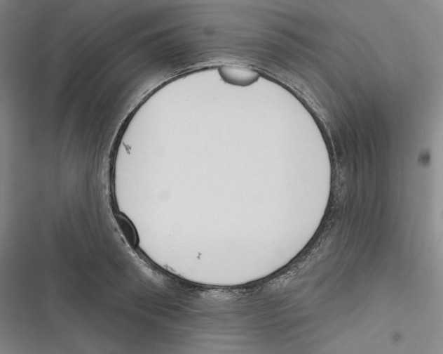 X0000116650898201001111226