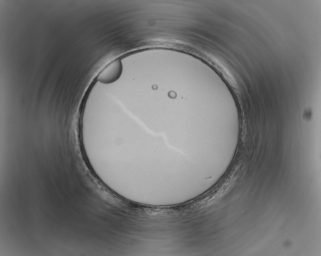 X0000116650899201001111226