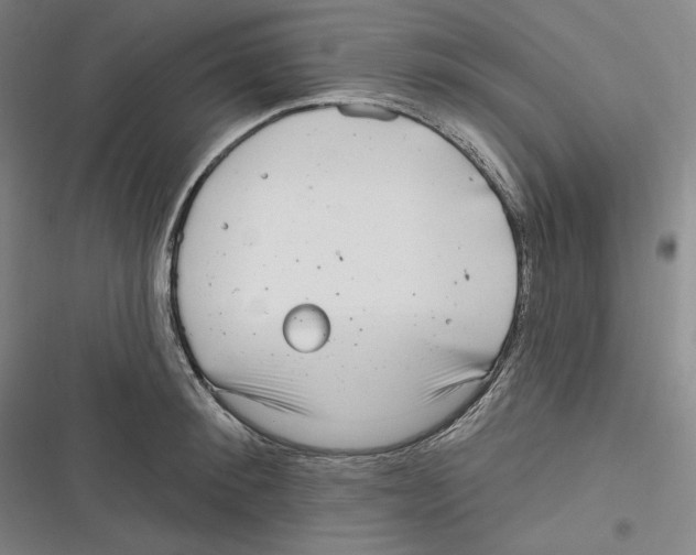 X0000116650900201001111226