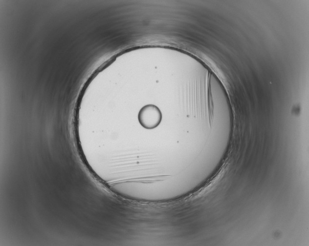 X0000116650901201001111226