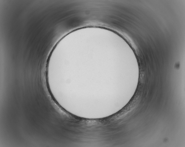 X0000116650903201001111226