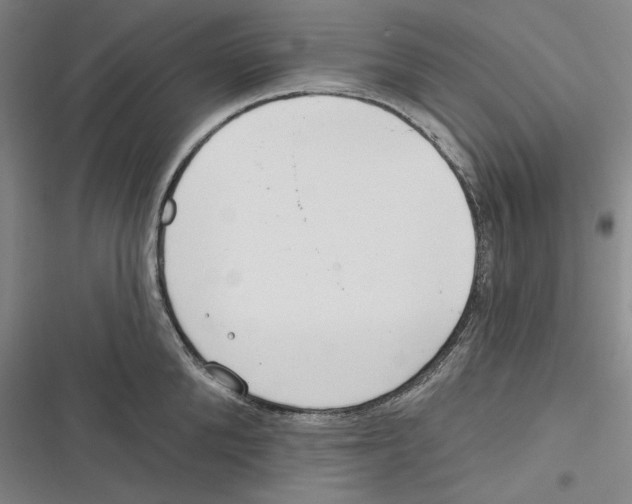 X0000116650904201001111226