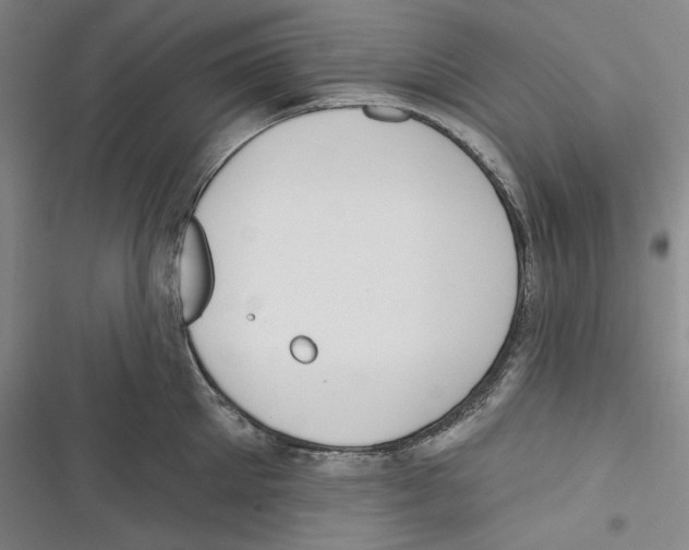 X0000116650905201001111226