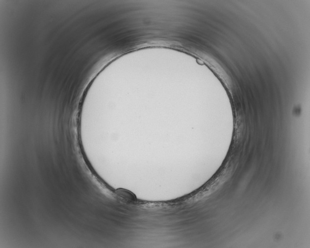 X0000116650906201001111226