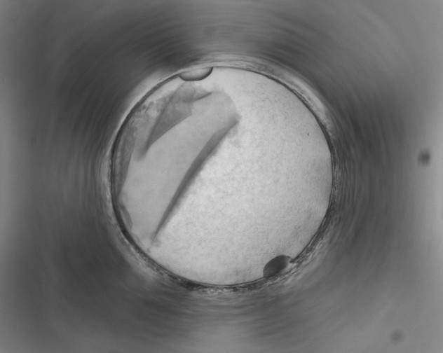 X0000116650907201001111226