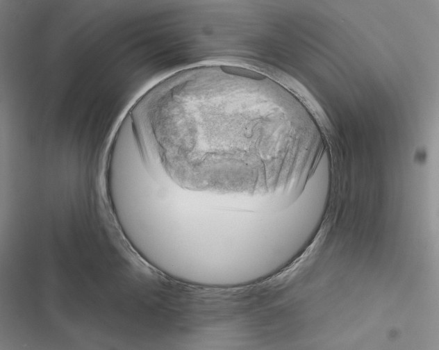 X0000116650908201001111226