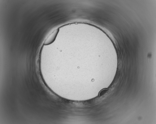 X0000116650911201001111226