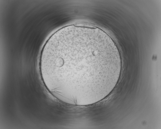 X0000116650912201001111226