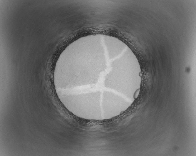 X0000116650913201001111226