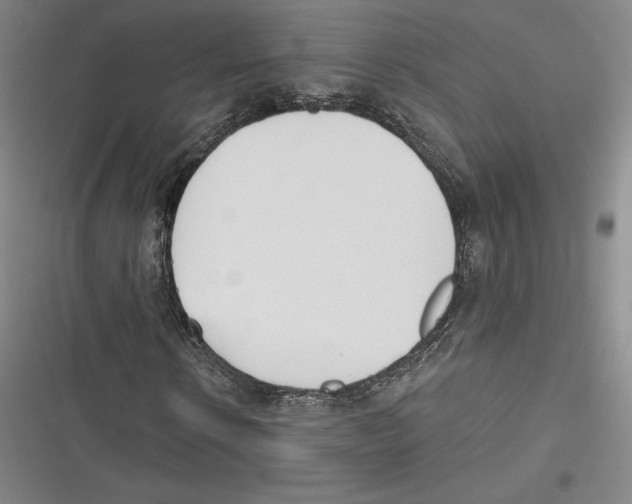 X0000116650914201001111226