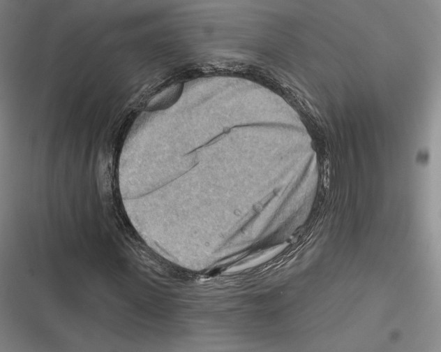 X0000116650915201001111226