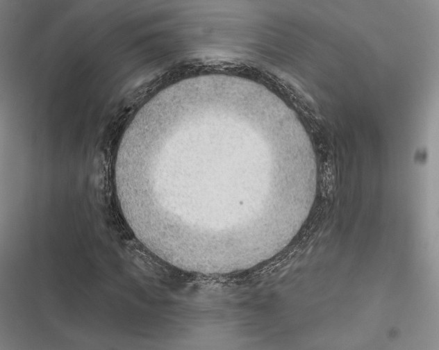 X0000116650917201001111226