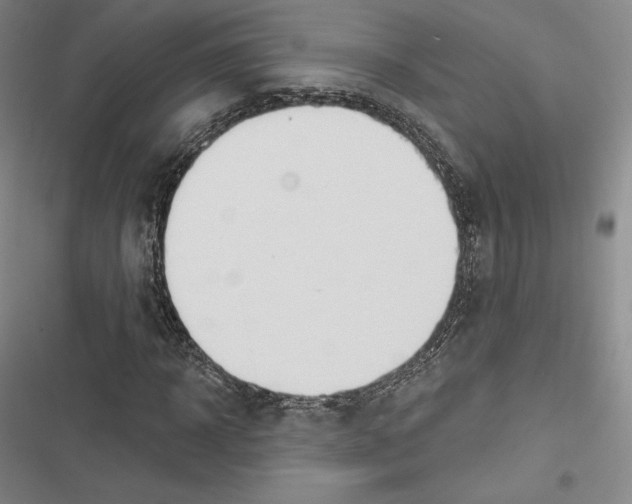 X0000116650918201001111226