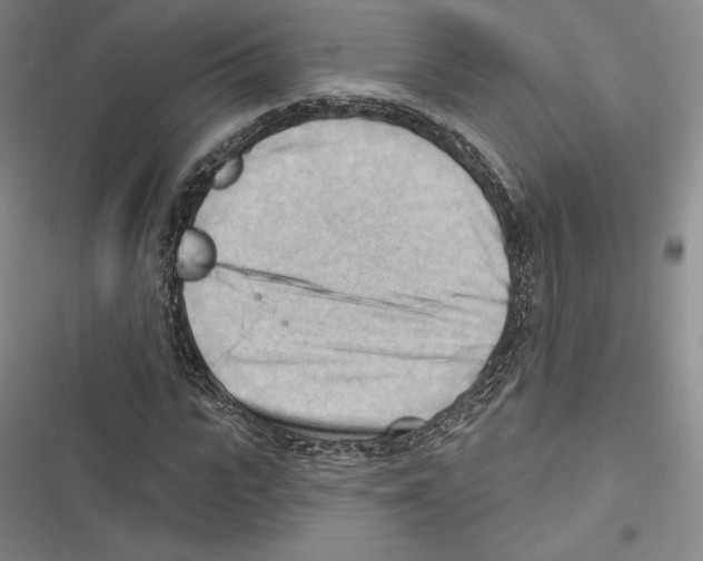 X0000116650919201001111226