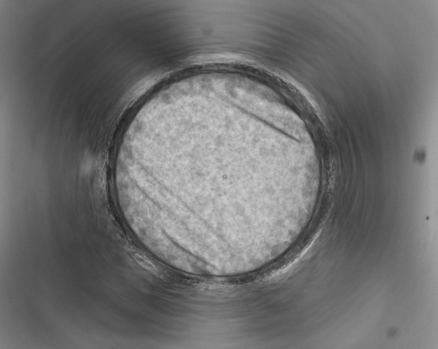 X0000116650921201001111226