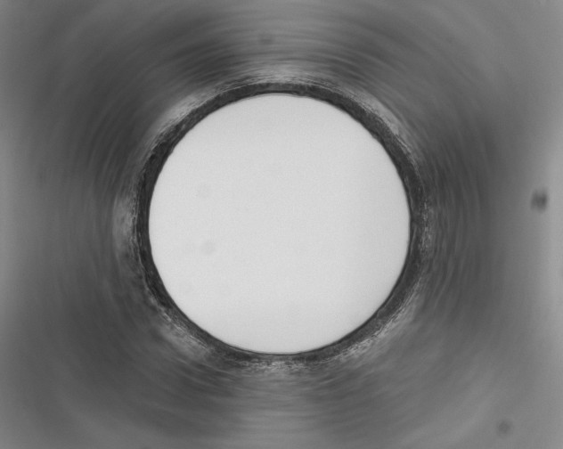 X0000116650922201001111226