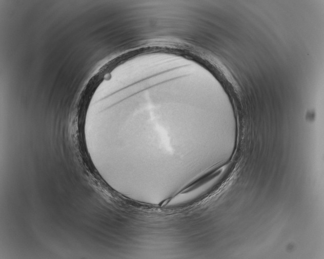 X0000116650923201001111226