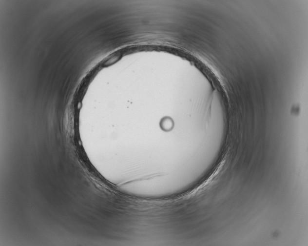 X0000116650925201001111226