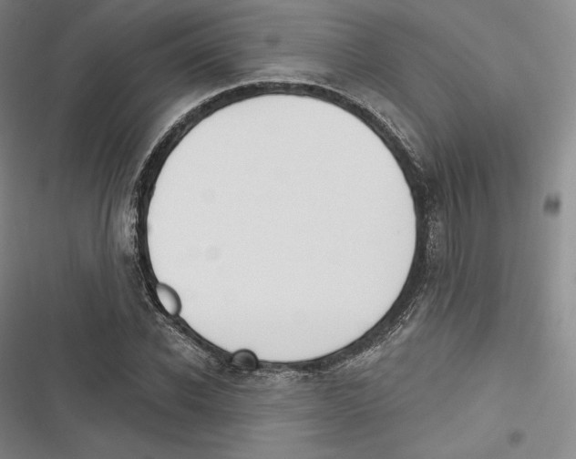 X0000116650926201001111226