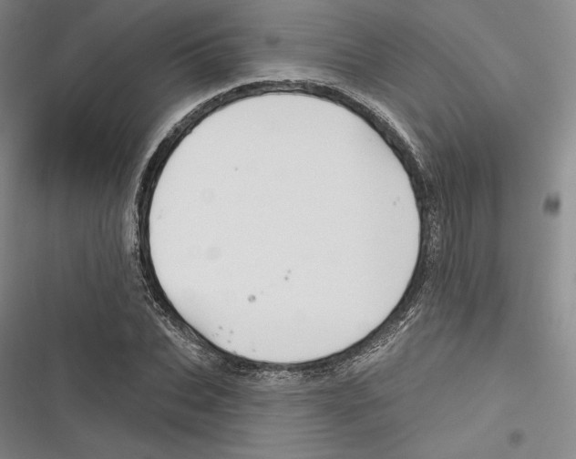 X0000116650927201001111226