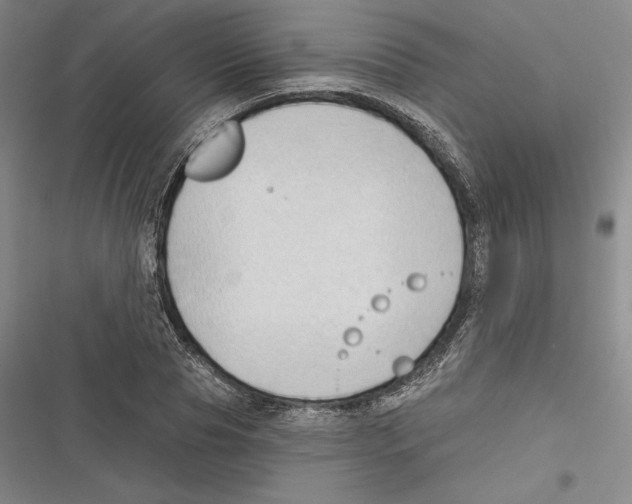 X0000116650929201001111226