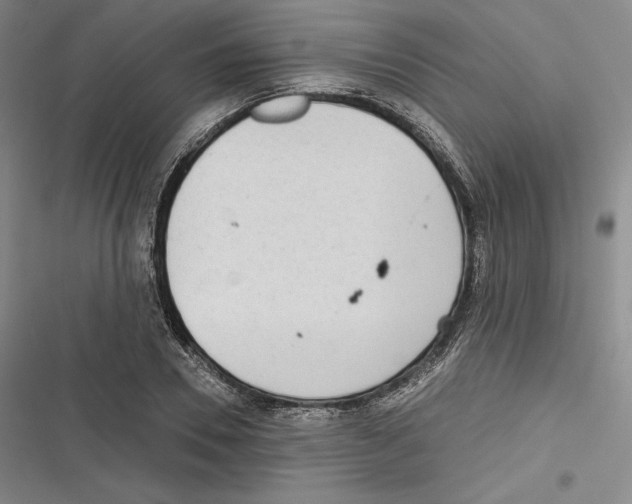 X0000116650930201001111226