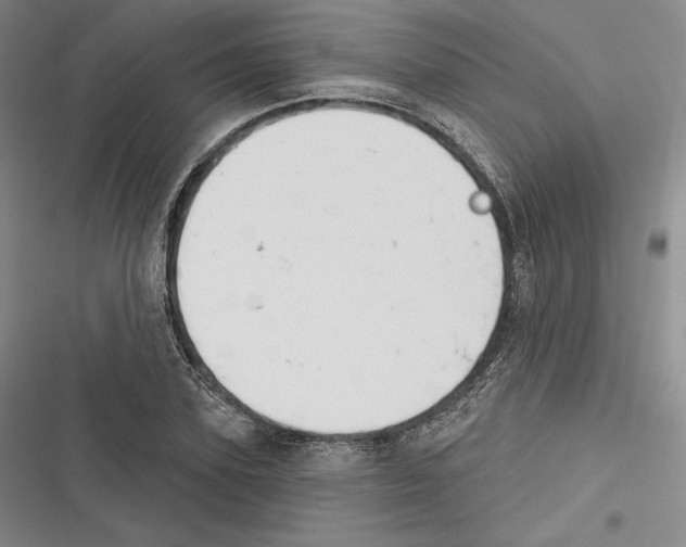 X0000116650931201001111226