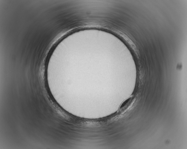 X0000116650933201001111226