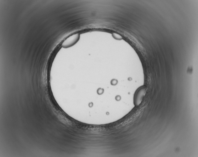 X0000116650934201001111226