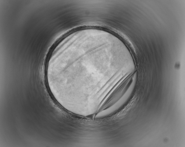 X0000116650935201001111226