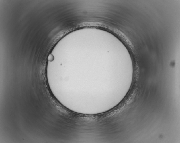 X0000116650937201001111226